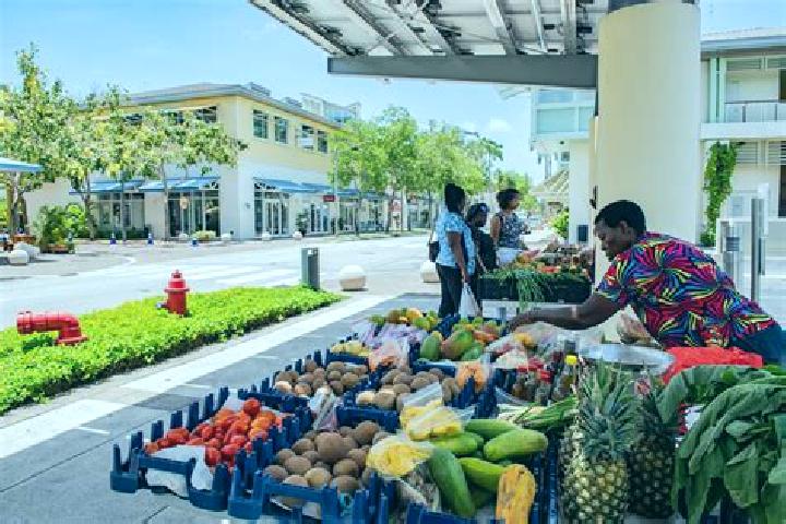 Escorts Foster Land, Cayman Islands — Local Companions