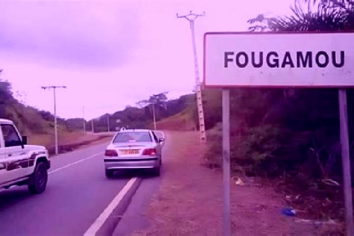 Escorts Fougamou, Gabon — Local Companions