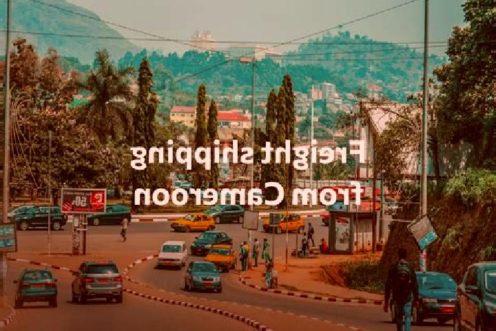 Escorts Foumbot, Cameroon — Local Companions