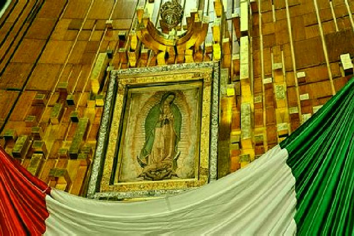Escorts Fraccion de Guadalupe, Mexico — Local Companions