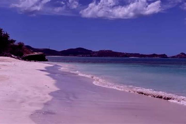 Escorts Freemans, Antigua and Barbuda — Local Companions