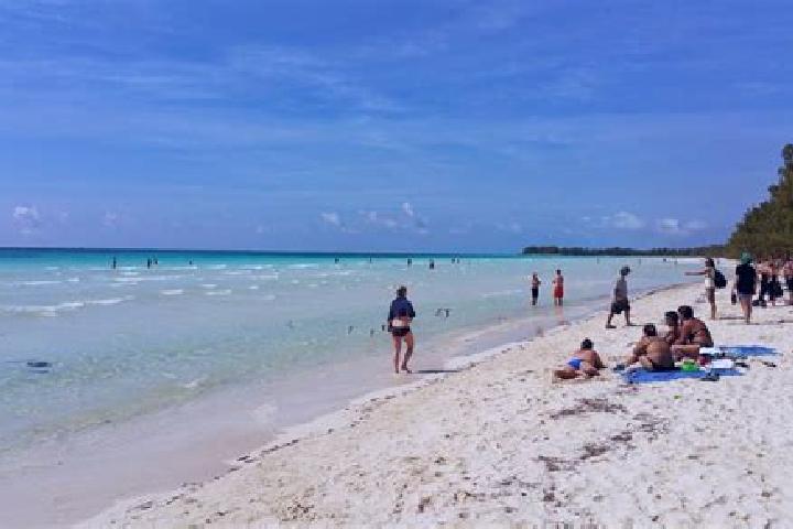 Escorts Freetown, Bahamas — Local Companions
