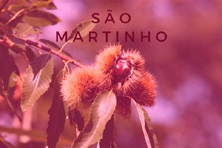 Escorts Frei Martinho, Brazil — Local Companions