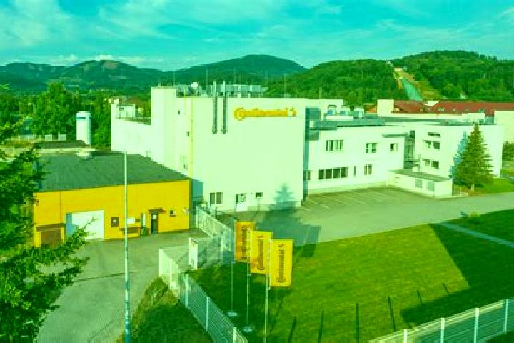 Escorts Frenstat pod Radhostem, Czech Republic — Local Companions