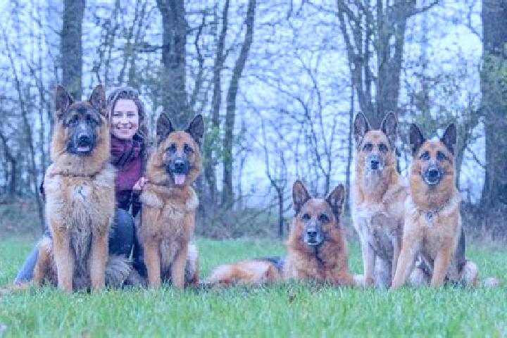 Escorts Friedenweiler, Germany — Local Companions