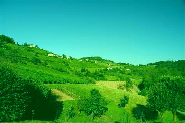 Escorts Fuipiano Valle Imagna, Italy — Local Companions