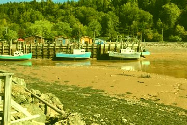 Escorts Fundy Heights, Canada — Local Companions