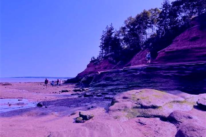 Escorts Fundy Shores, Canada — Local Companions