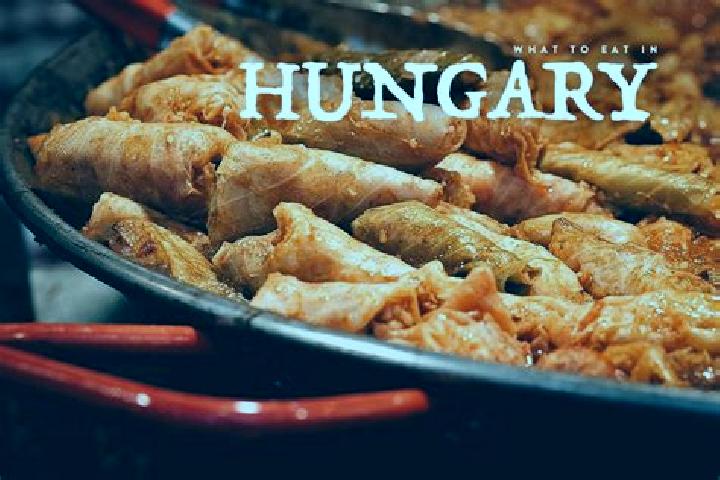 Escorts Fuzesgyarmat, Hungary — Local Companions