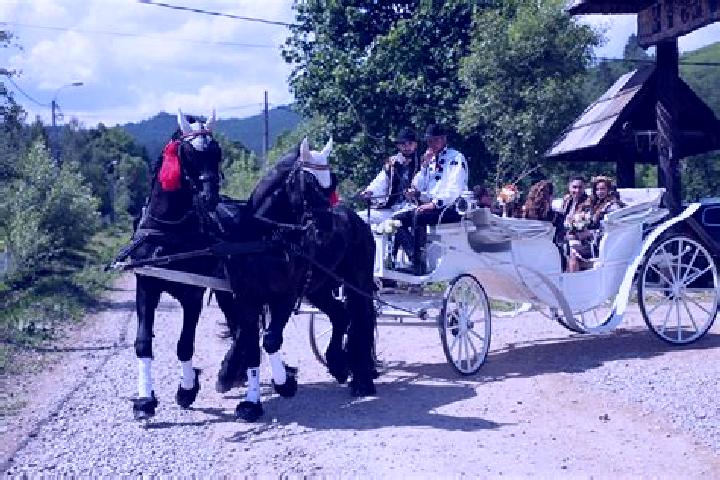 Escorts Galautas, Romania — Local Companions