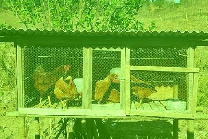 Escorts Galinheiros, Cape Verde — Local Companions
