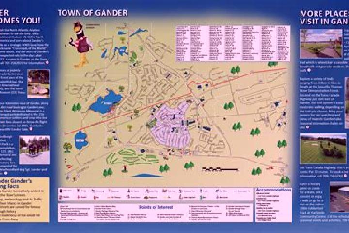 Escorts Gander, Canada — Local Companions