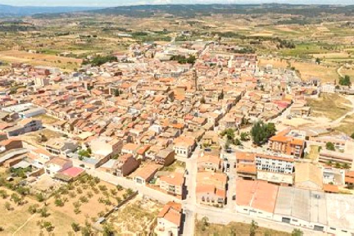 Escorts Gandesa, Spain — Local Companions
