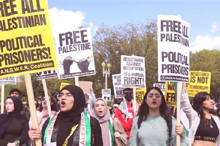 Escorts Ganei Modi in, Palestine — Local Companions