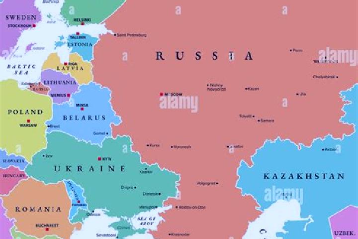 Escorts Garbolovo, Russia — Local Companions