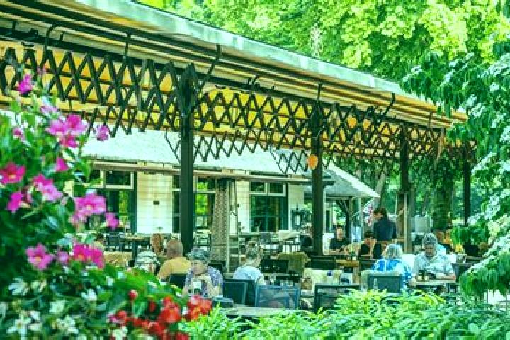 Escorts Garderen, Netherlands — Local Companions