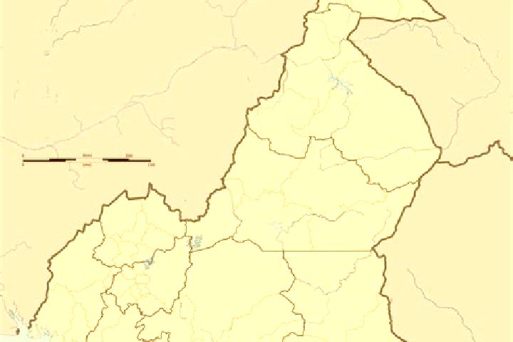 Escorts Garoua Boulai, Cameroon — Local Companions