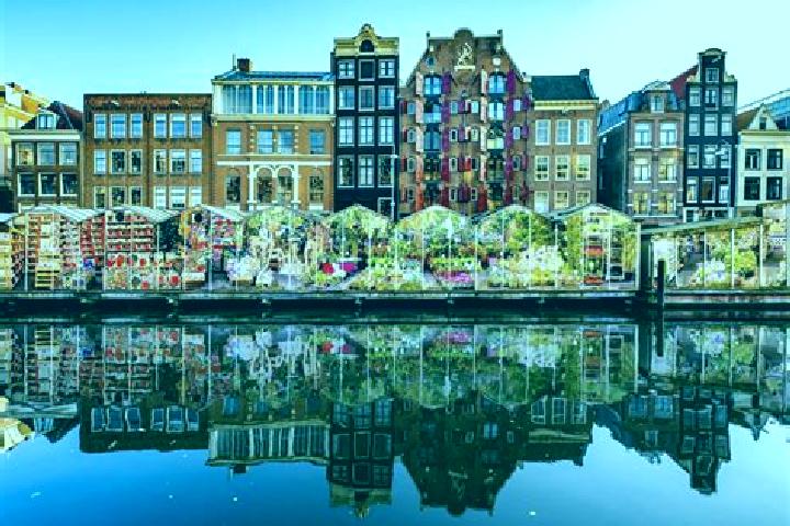 Escorts Garyp, Netherlands — Local Companions