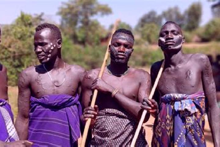 Escorts Gasuba, Ethiopia — Local Companions