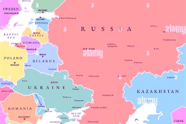 Escorts Gayny, Russia — Local Companions