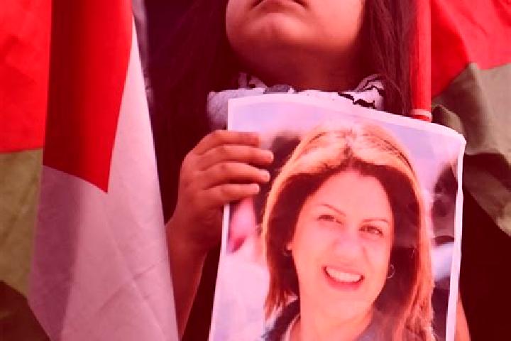 Escorts Gaza, Palestine — Local Companions