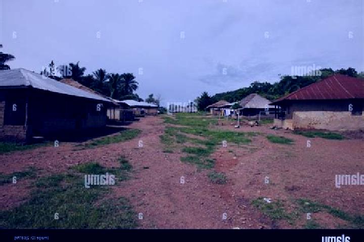 Escorts Gbewebu, Sierra Leone — Local Companions