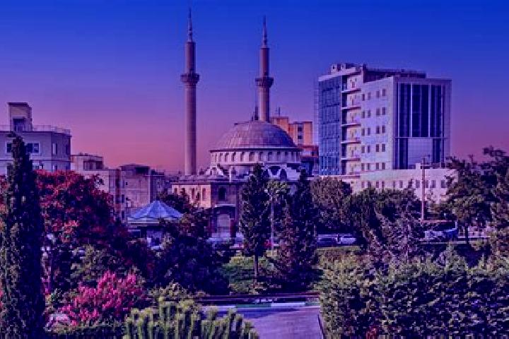 Escorts Gebze, Turkey — Local Companions