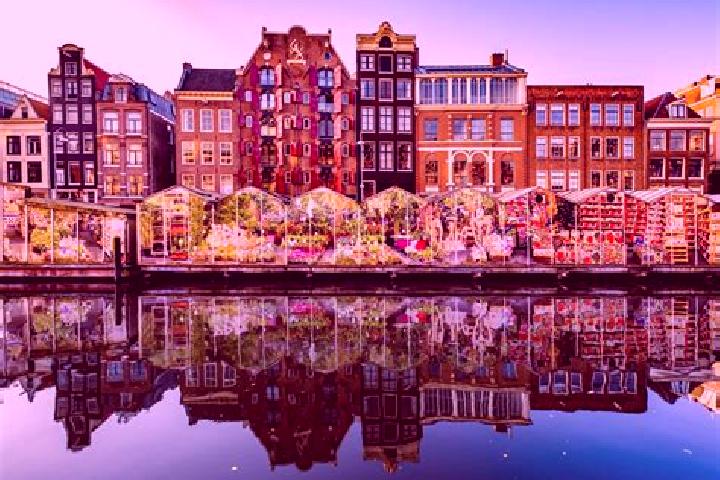 Escorts Gees, Netherlands — Local Companions