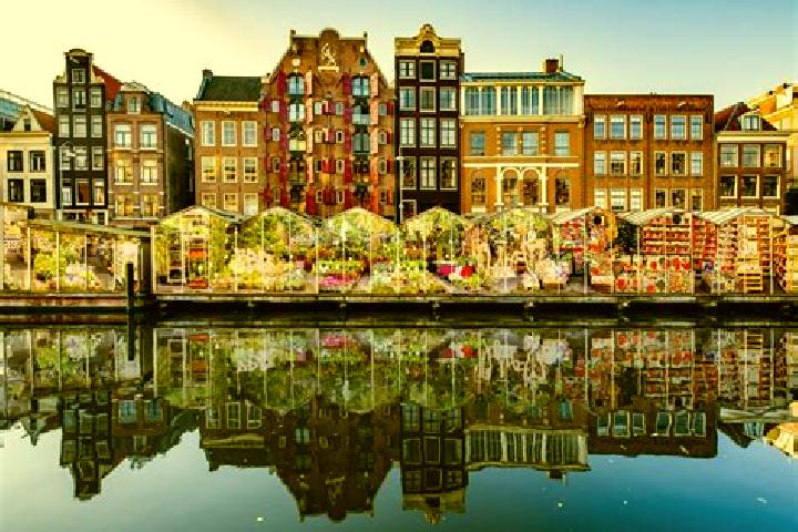 Escorts Genoenhuis, Netherlands — Local Companions