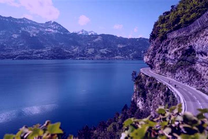 Escorts Gersau, Switzerland — Local Companions