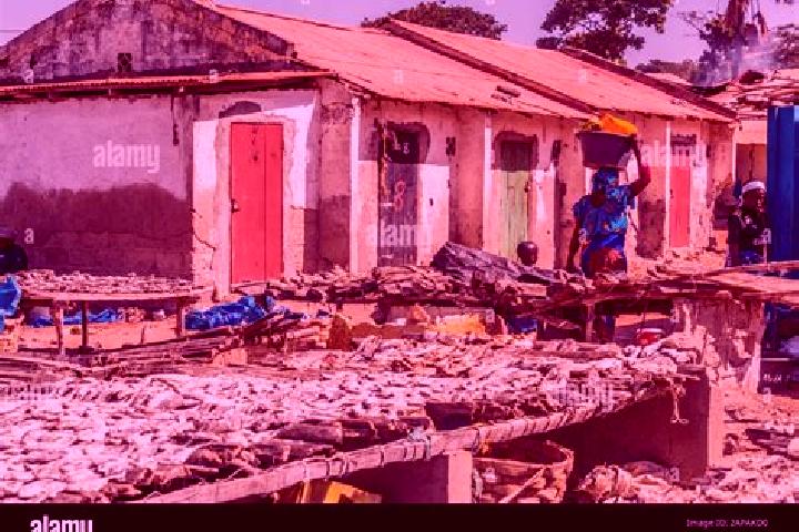 Escorts Ghana Town, Gambia — Local Companions