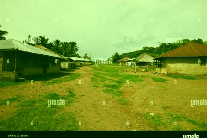 Escorts Giehun, Sierra Leone — Local Companions