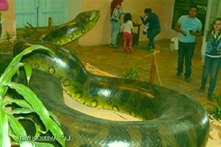 Escorts Gigante, Colombia — Local Companions