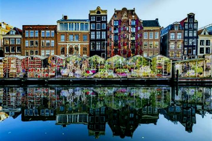 Escorts Gilze, Netherlands — Local Companions