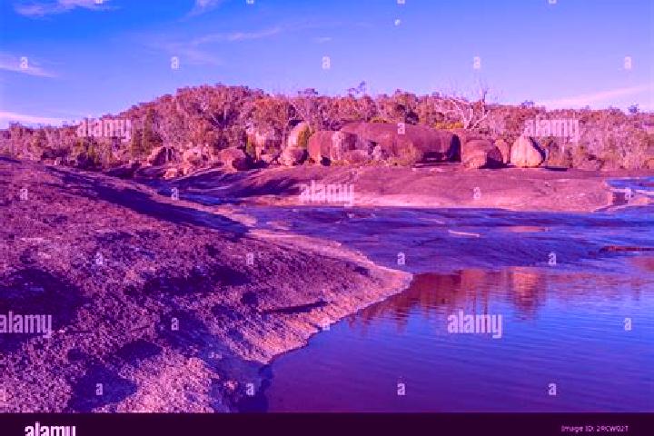 Escorts Girraween, Australia — Local Companions