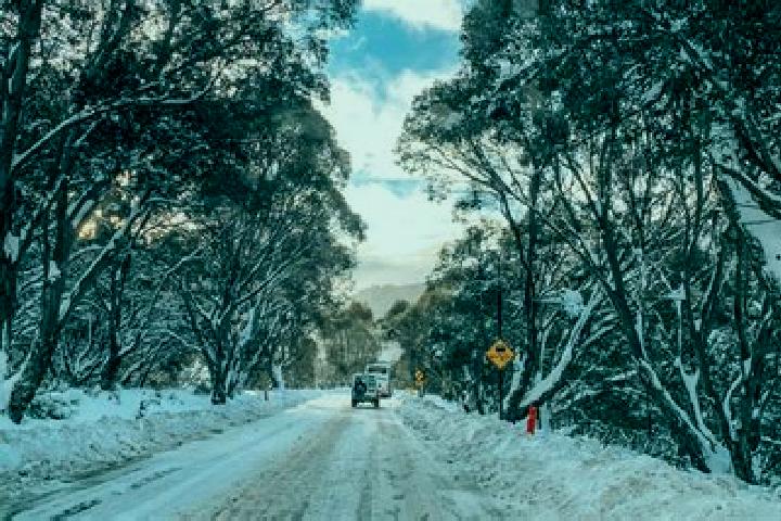 Escorts Glen Alpine, Australia — Local Companions