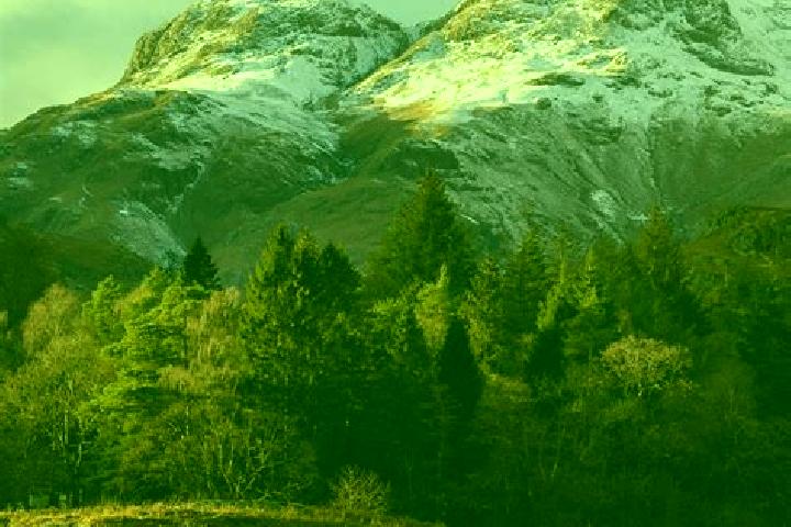 Escorts Glencoe, Canada — Local Companions