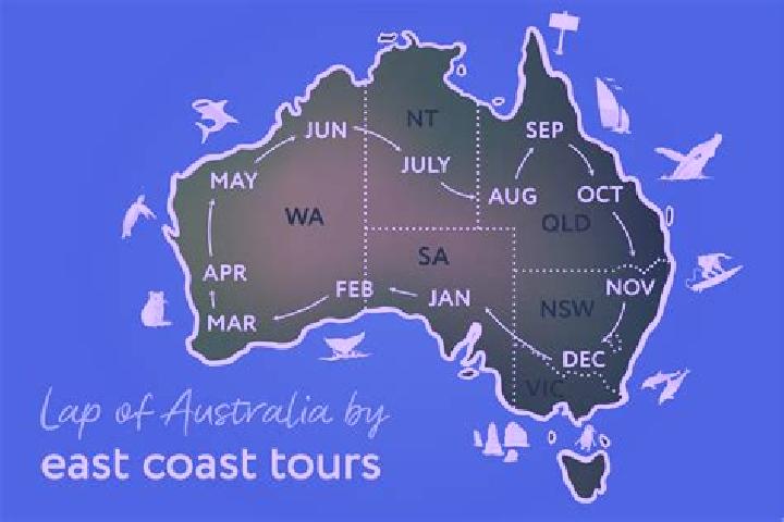 Escorts Glenrowan, Australia — Local Companions
