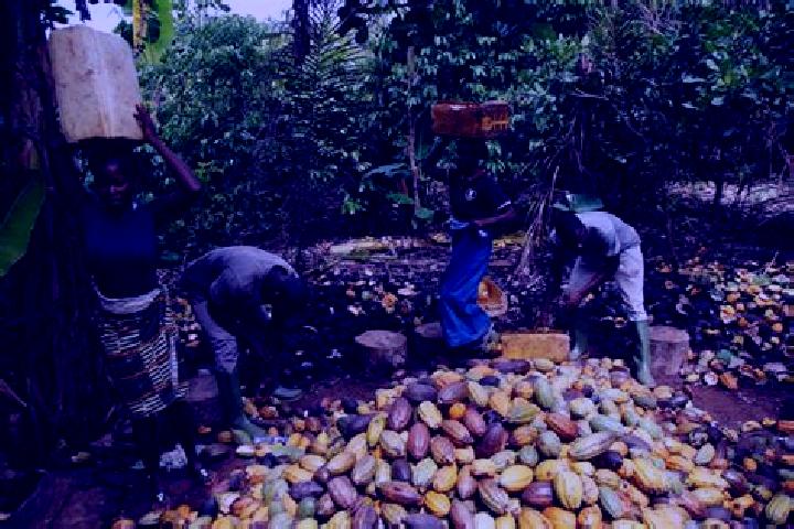 Escorts Gnago, Ivory Coast — Local Companions