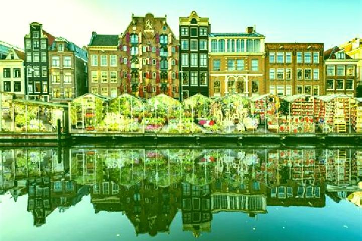 Escorts Goedereede, Netherlands — Local Companions