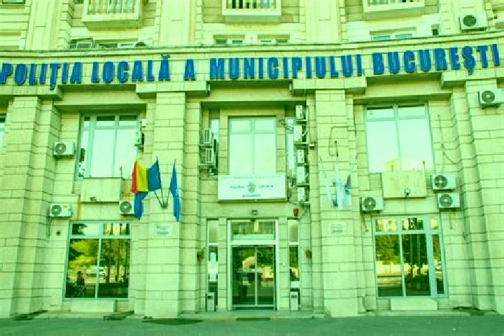 Escorts Goiesti, Romania — Local Companions
