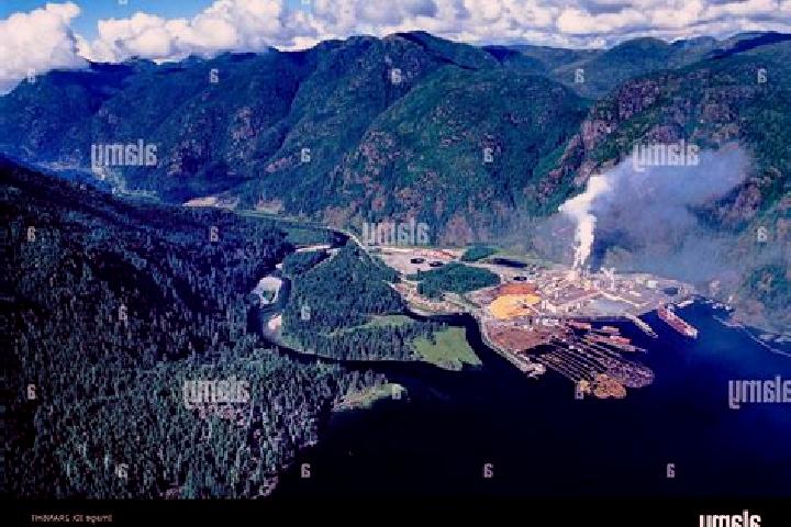 Escorts Gold River, Canada — Local Companions