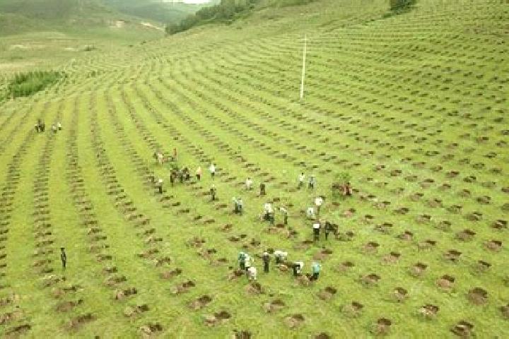 Escorts Golmud, China — Local Companions