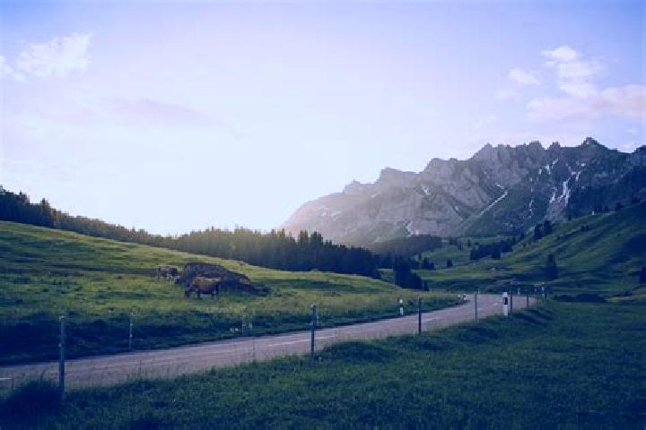 Escorts Gommiswald, Switzerland — Local Companions