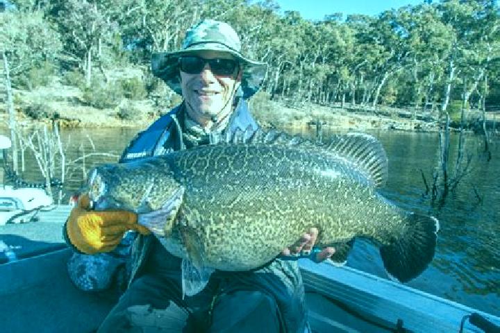 Escorts Googong, Australia — Local Companions
