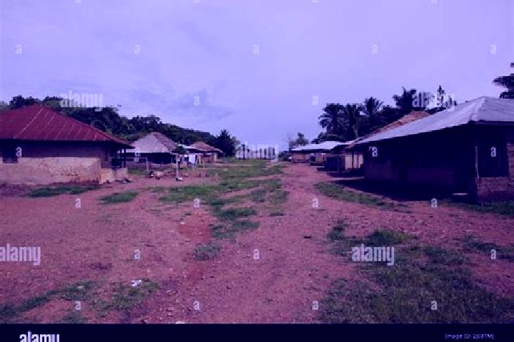 Escorts Gorahun, Sierra Leone — Local Companions