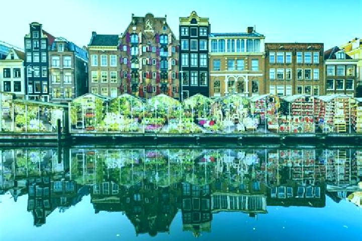Escorts Gorssel, Netherlands — Local Companions