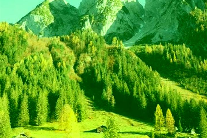 Escorts Gosau, Austria — Local Companions