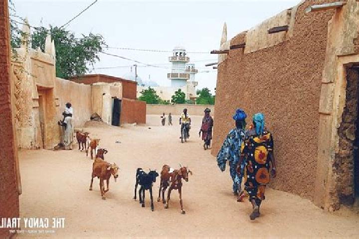 Escorts Goure, Niger — Local Companions