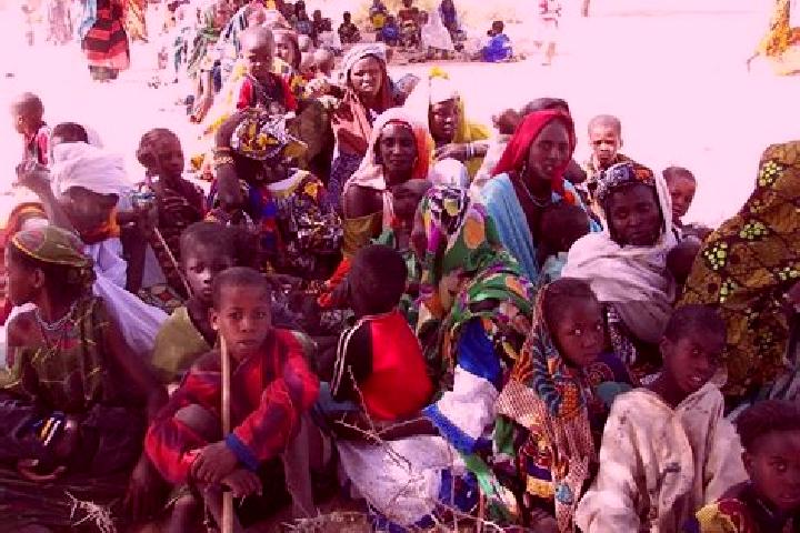 Escorts Gourma Rharous, Mali — Local Companions